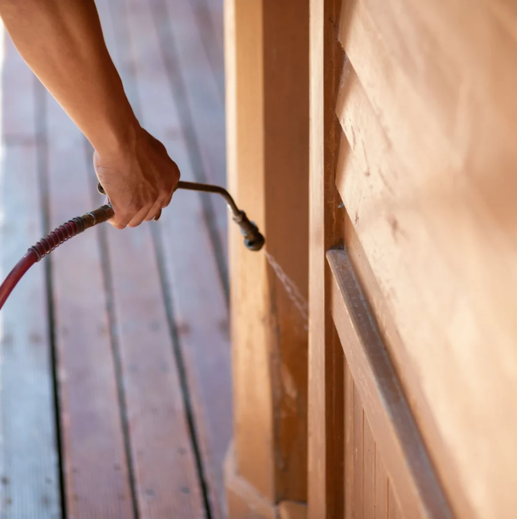 Trusted Pest Control - Randolph Pest Control Pros | Randolph, NJ | 862-977-8111